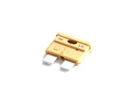 X30125942 5A Fuse